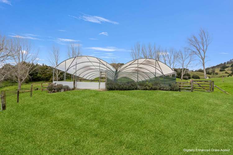 809 Tangihua Road Maungakaramea_20