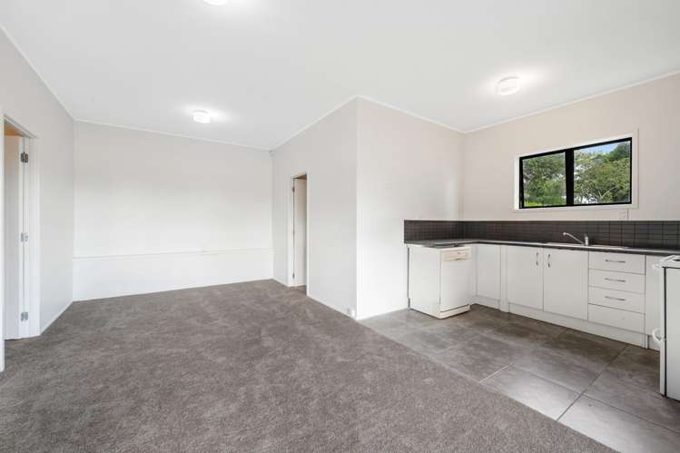 247 Broomfields Road Whitford_30