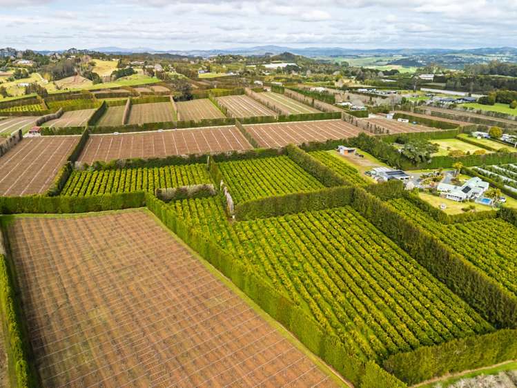 581D Kerikeri Road Kerikeri_5