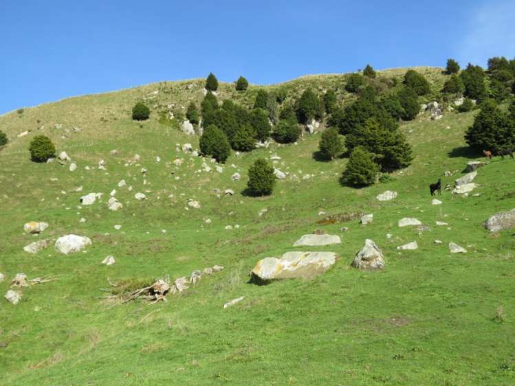 1862 Taringamotu Road Taringamotu_6