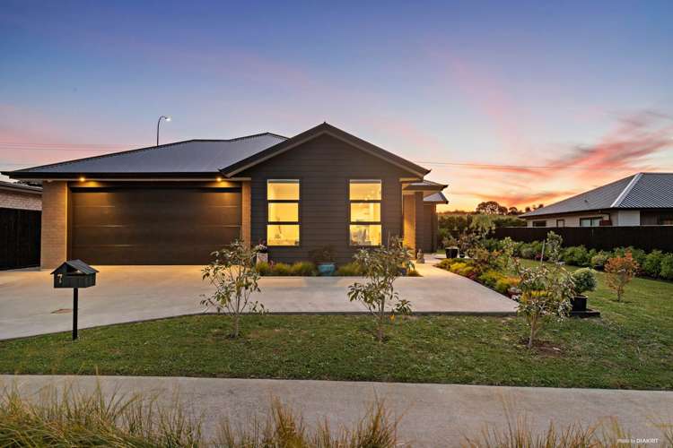 7 Te Ara Hikoi Pukekohe_6