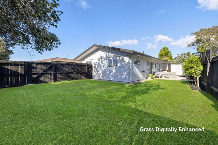 1/3 Harris Street Te Puke_3