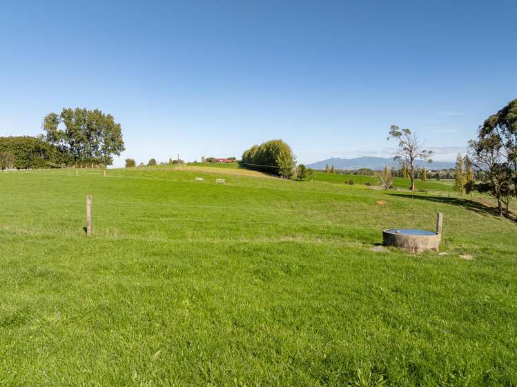 24 Rowe Road Whatawhata_34