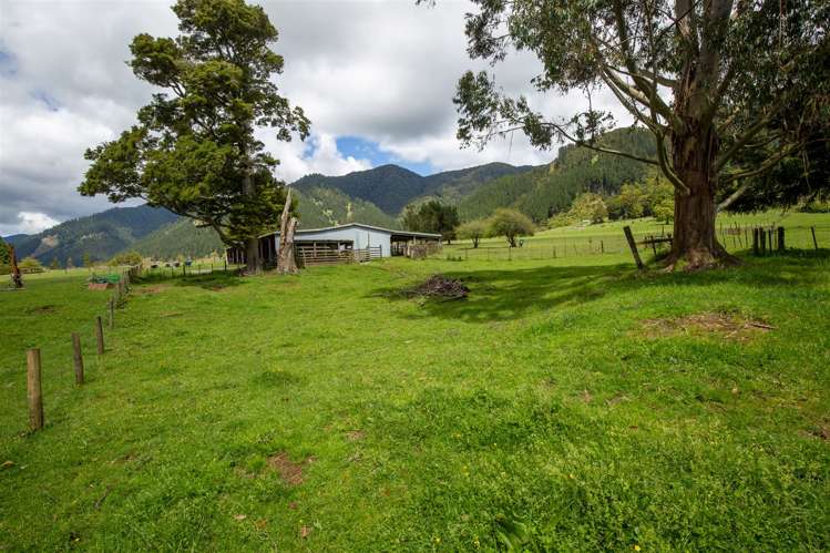 614 Gowan Valley Road Kahurangi National Park_22