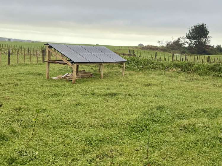 13 Weka Street Te Kiri_12