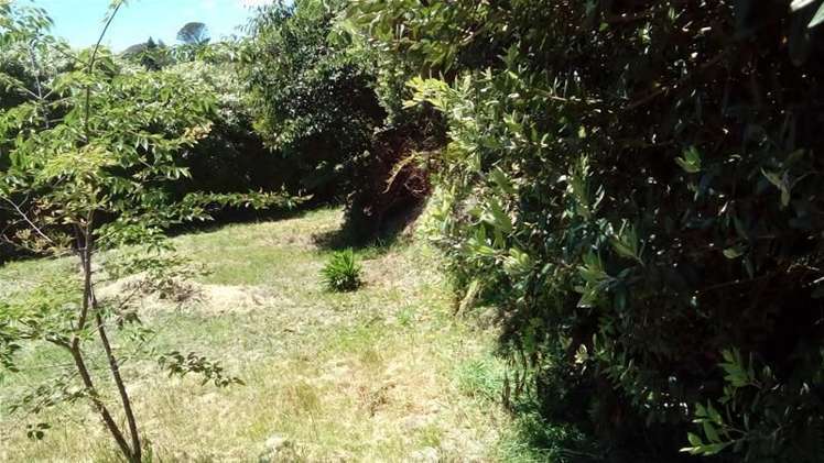 36 Roto Street Hurdon_4