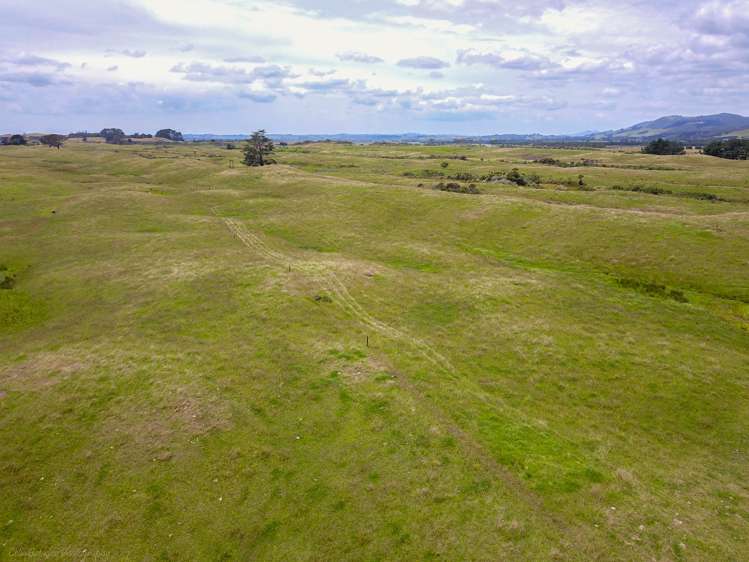 Takahe Street Masterton_11