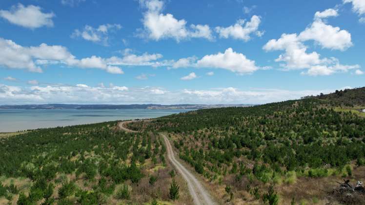 Gee Road Matakohe_9