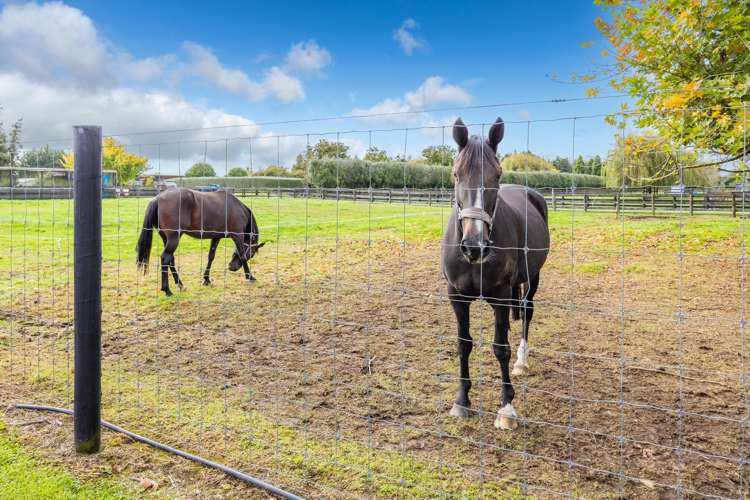 35 Taplin Road Matangi_24