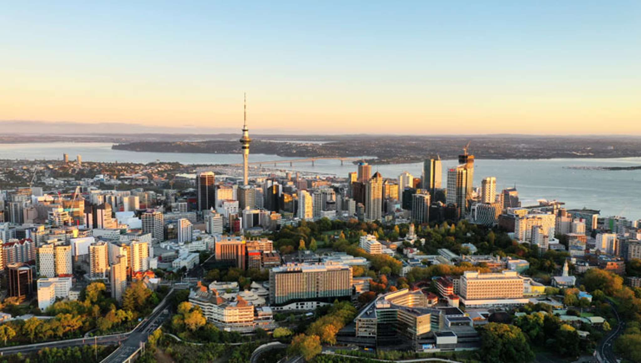 'Auction rooms alive and active': Auckland's housing market isn't slowing down