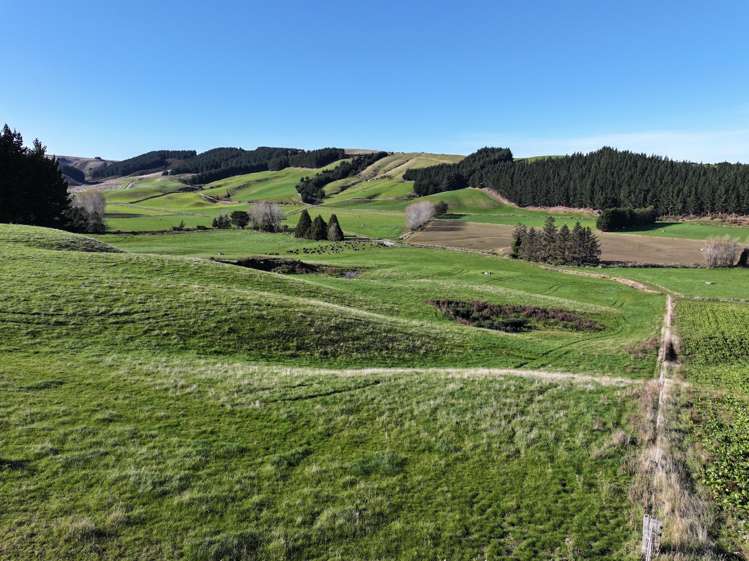 114 Bull Creek Road Glenledi_19