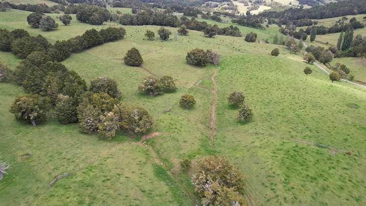 1387 State Highway 1 Okaihau_7