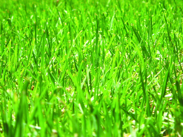 44 Irishman Drive Twizel_13