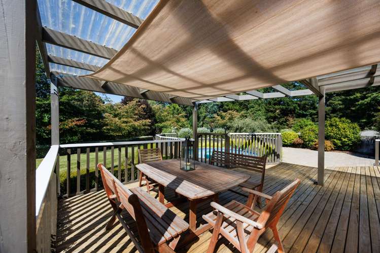 774 Taonui Road Colyton_7