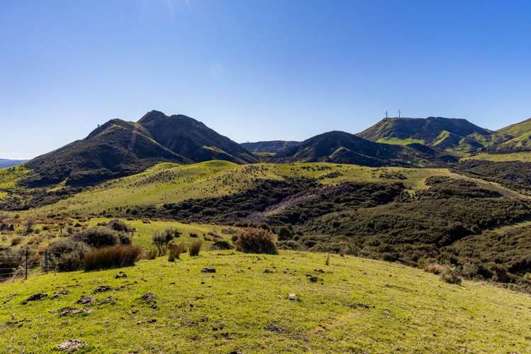 7611 State Highway 1 Ward_10