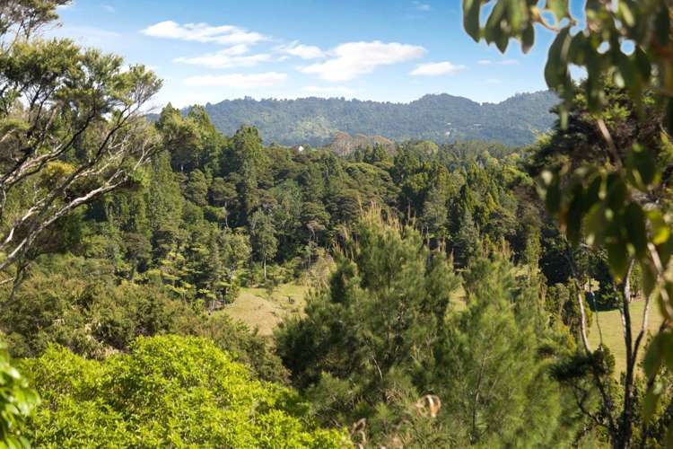 61 Shetland Street Glen Eden_3