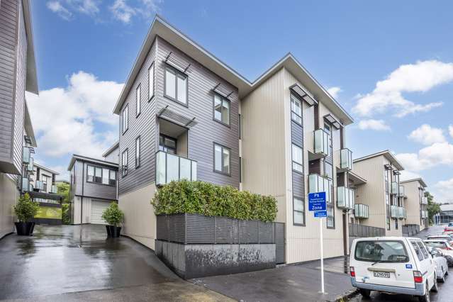 106 Harold Street Mount Eden_2