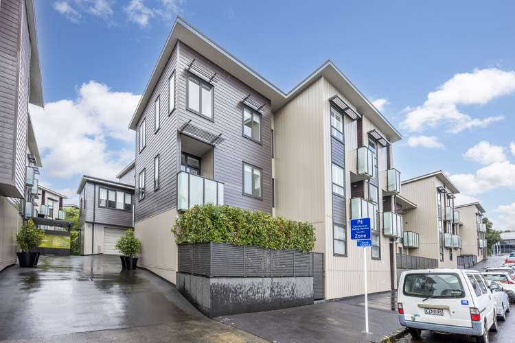 106 Harold Street Mount Eden_1