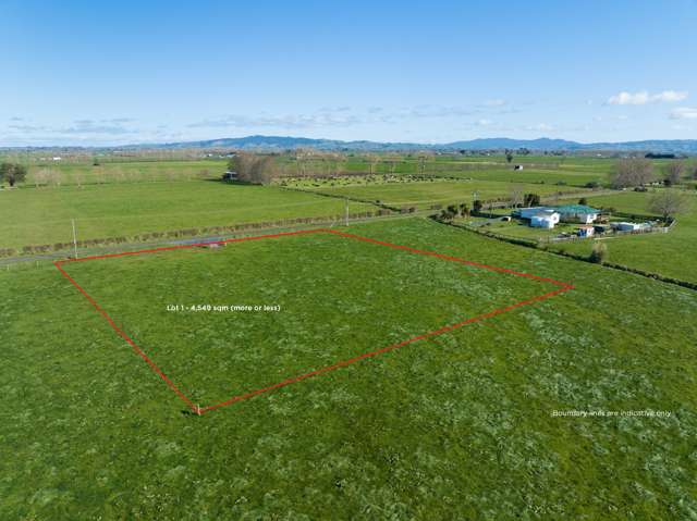 - No 5 Road Waitoa_4