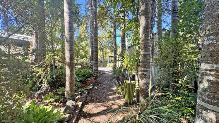 11 Fitzpatrick Place Chatswood_11