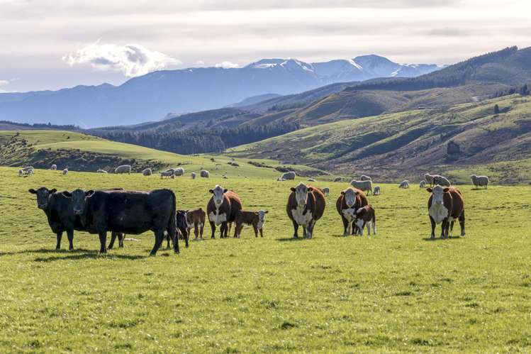 10 Riversleigh Road Glentunnel_20