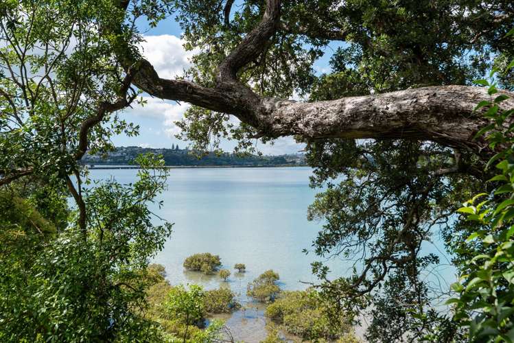 3 Papahia Street Parnell_5