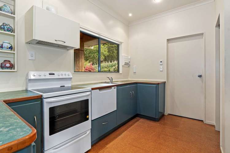 12 Rebel Lane Whareora_16