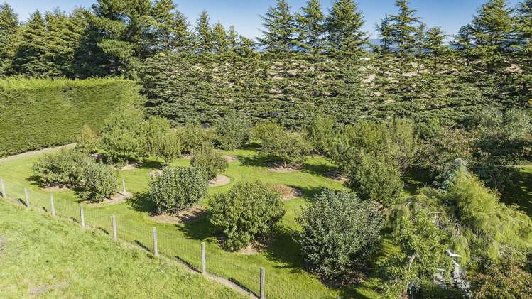 32 Warrens Road Darfield_22