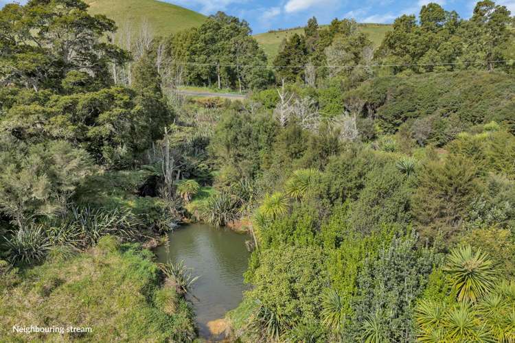 391 Pataua North Road Whareora_13