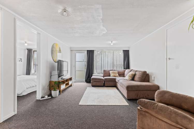 21 Manaia Street Tokoroa_13