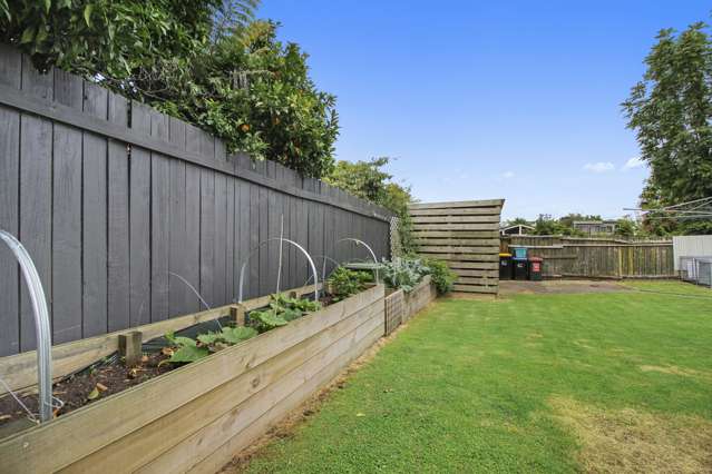 205 Bridgman Road Te Awamutu_4