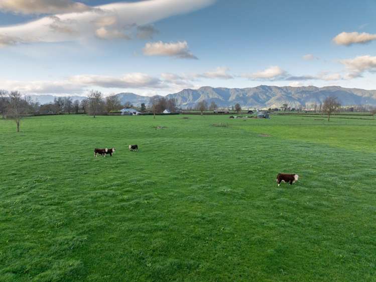 416 Wardville Road Matamata_21