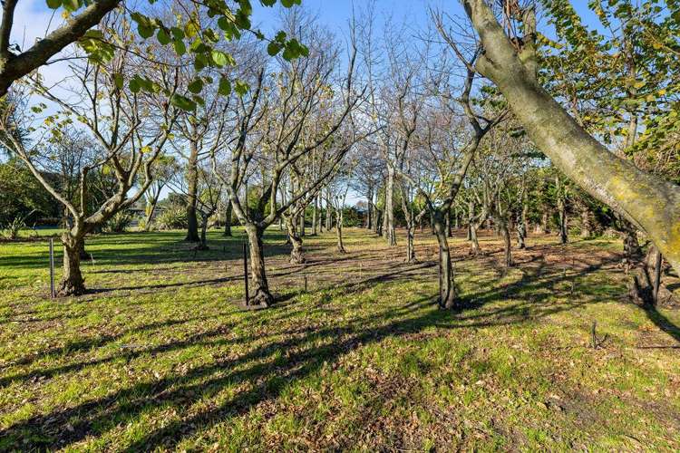 8 Pattons Road Mount Somers_6