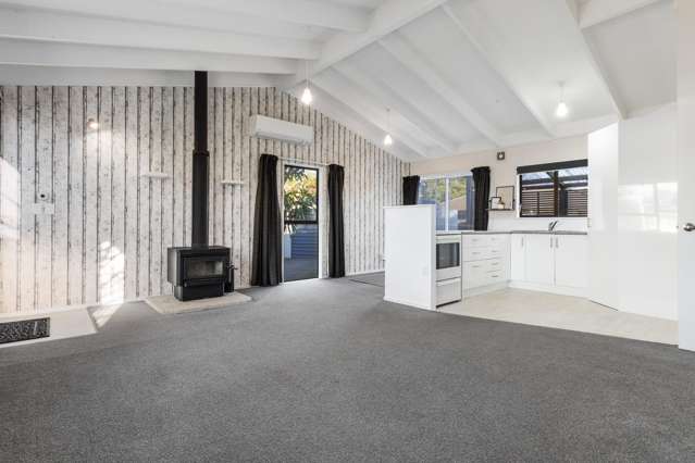 4 Kirkcaldie Grove Levin_2
