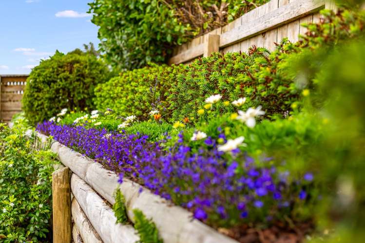 5 Burwah Street Berhampore_18