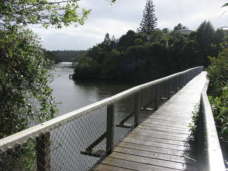 49a Ngapuhi Road Remuera_11