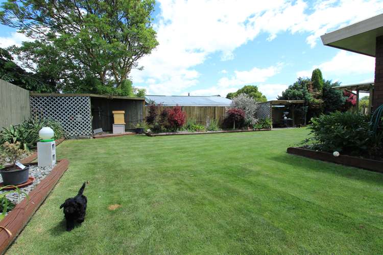 106 Wither Road Witherlea_1