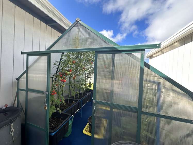 2 Northwood Avenue Pukenui_23