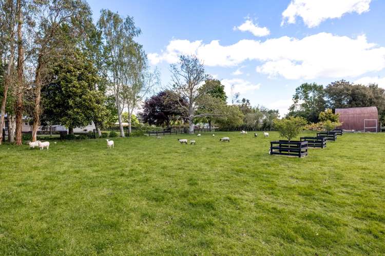 5 Scotsman Valley Road Tauwhare_23