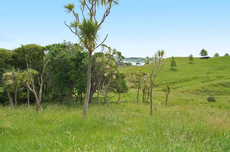 135 Phillips Road Kaiwaka_12