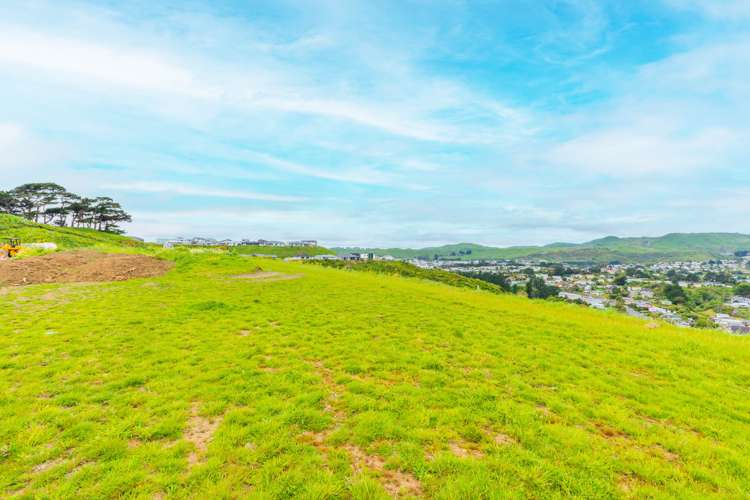 203 John Burke Drive Aotea_21