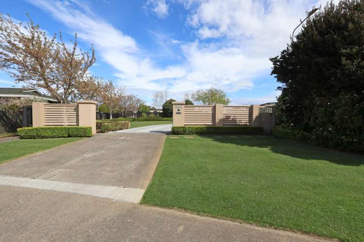 51 Terrace Street Rosedale_48