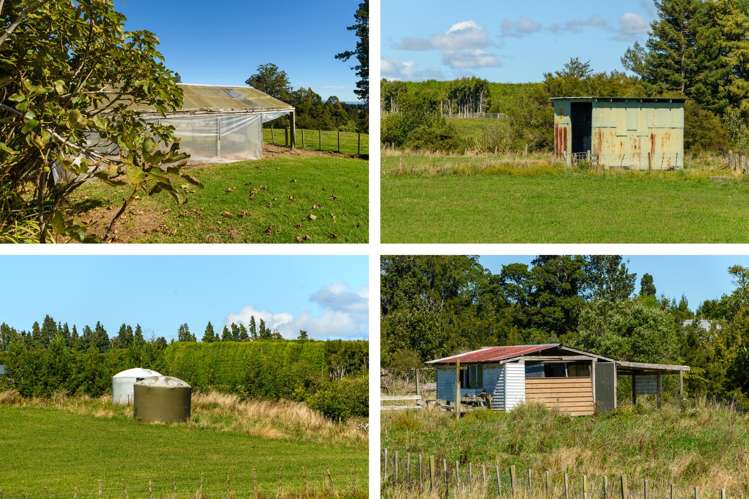 186 Hereford Road Oropi_20