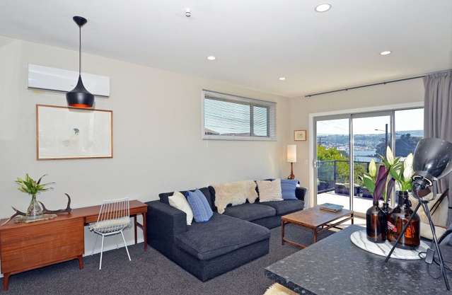 59 Silverton Street Andersons Bay_3