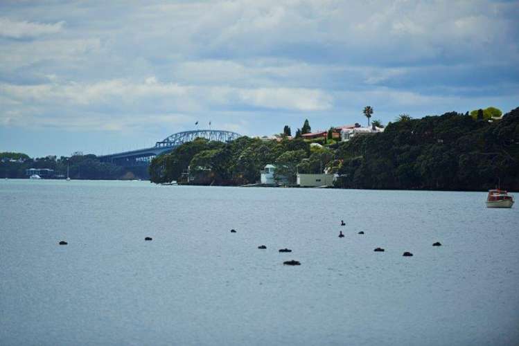 190 Garnet Road Westmere_15