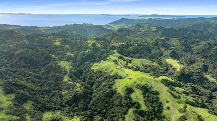 928 Kuaotunu-Wharekaho Road Wharekaho_6