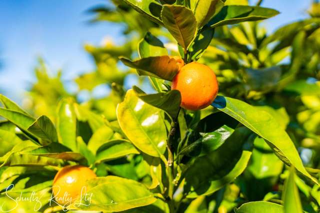 1052 State Highway 12 Maungaturoto_2