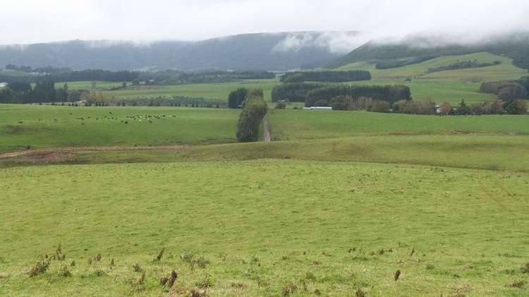 44 Rodgers Road Catlins Surrounds_41
