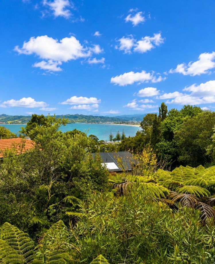 58 Centennial Drive Whitianga_12