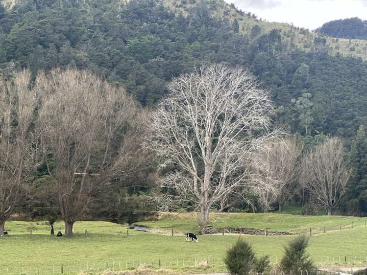 577a Mangawara Road Tahuna_1